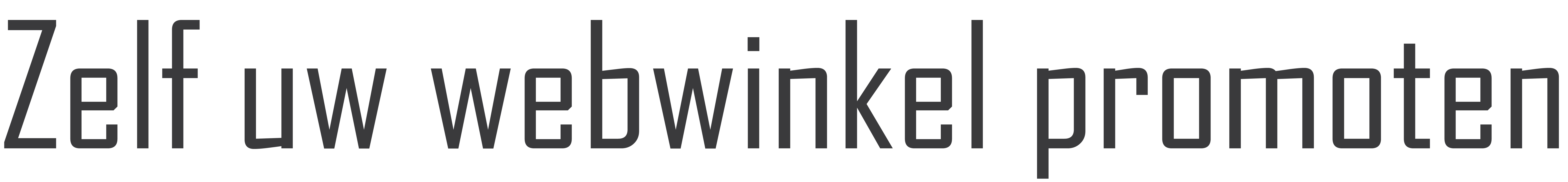 Webwinkel Promotie